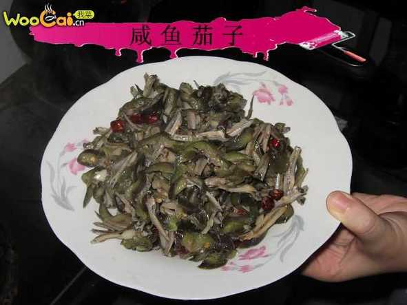 【猫记私房菜】自创发明，很下饭：咸鱼茄子