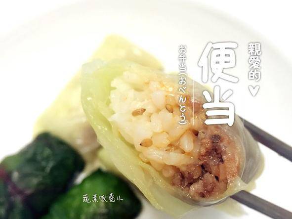 蔬菜饭卷儿