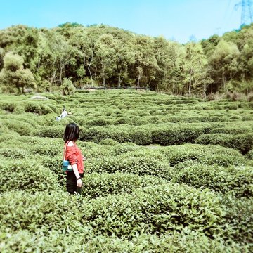 月儿湾的夏天的头像