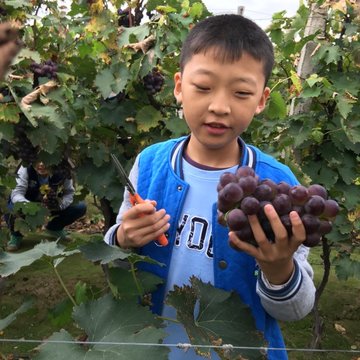 幸福滴小豆子的头像